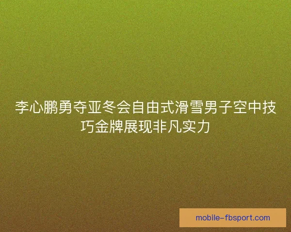 李心鹏勇夺亚冬会自由式滑雪男子空中技巧金牌展现非凡实力